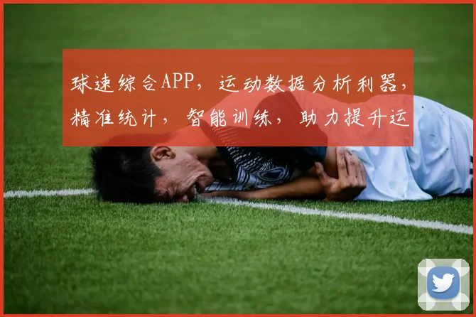 球速综合APP，运动数据分析利器，精准统计，智能训练，助力提升运动表现，一应俱全