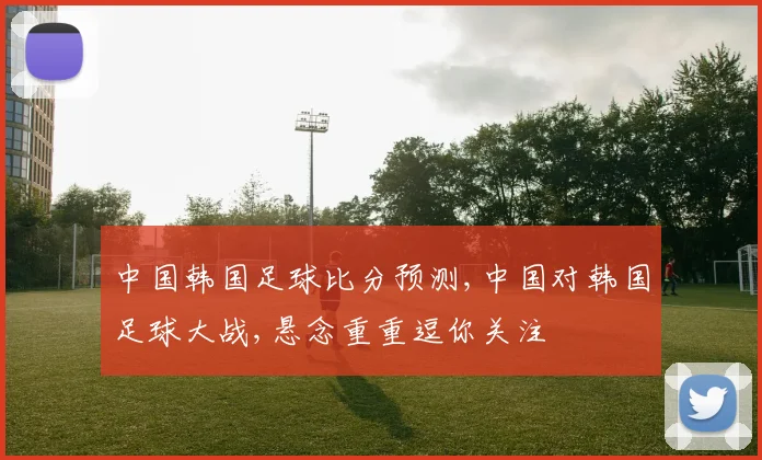 中国韩国足球比分预测,中国对韩国足球大战,悬念重重逗你关注