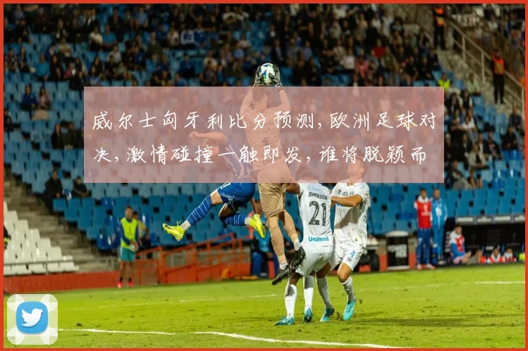 威尔士匈牙利比分预测,欧洲足球对决,激情碰撞一触即发,谁将脱颖而出